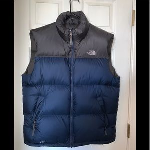 The North Face 700 Puffer Down Vest
